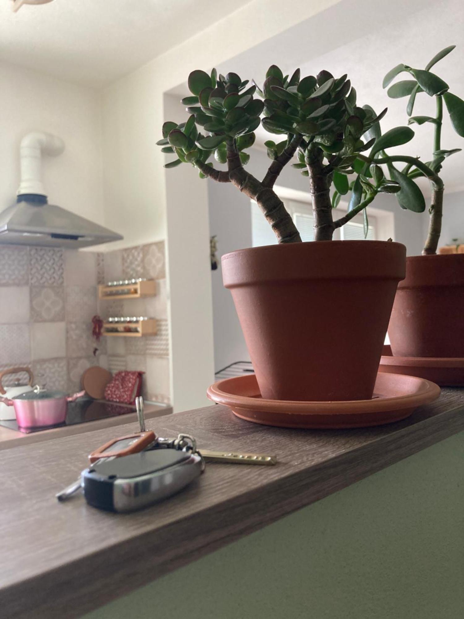 Repose Residence Liptovský Mikuláš 외부 사진